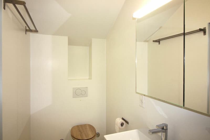 In esclusiva: appartamento 2.5 locali a Plan-les-Ouates - in vendita (19)