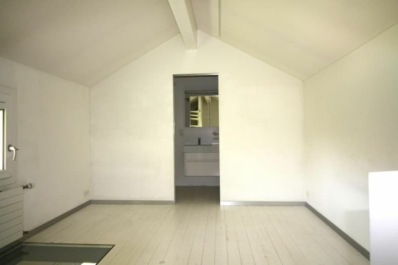 In esclusiva: appartamento 2.5 locali a Plan-les-Ouates - in vendita (10)