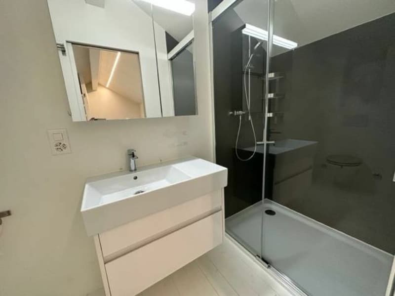 In esclusiva: appartamento 2.5 locali a Plan-les-Ouates - in vendita (18)