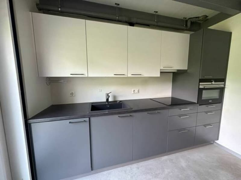 In esclusiva: appartamento 2.5 locali a Plan-les-Ouates - in vendita (6)