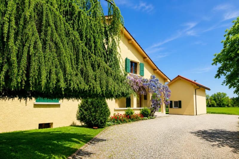 Verkauf mit Charme: 5-Zimmer-Wohnung in Plan-les-Ouates (3)