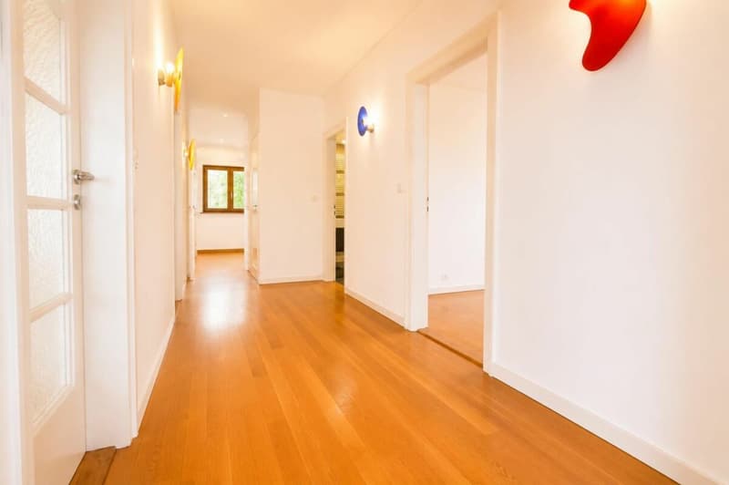 Verkauf mit Charme: 5-Zimmer-Wohnung in Plan-les-Ouates (19)