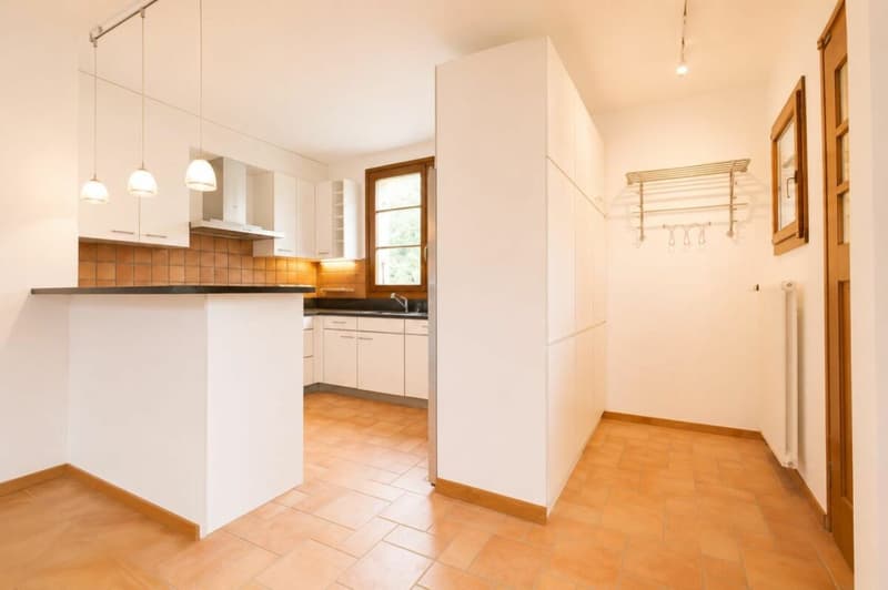 Verkauf mit Charme: 5-Zimmer-Wohnung in Plan-les-Ouates (14)