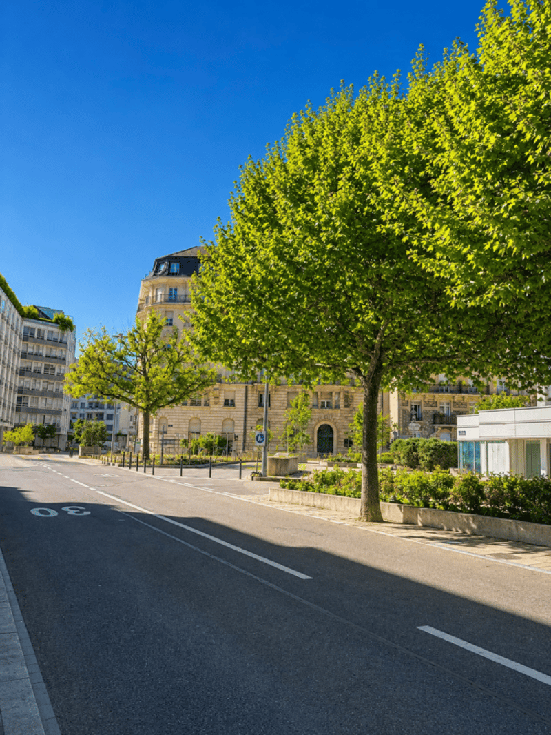 Charmantes Wohnung nahe dem See (3)