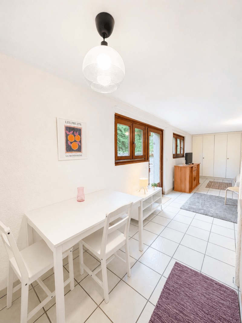 Charmantes möblierte Studio-Wohnung in Chêne-Bourg (4)