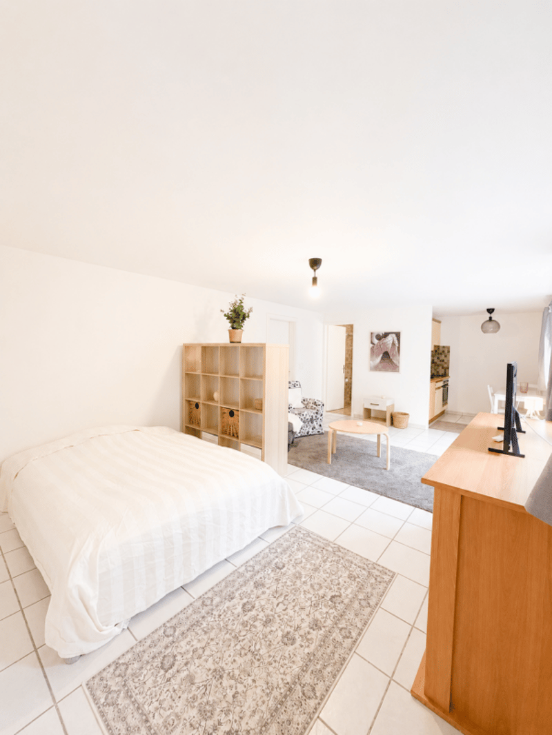 Charmantes möblierte Studio-Wohnung in Chêne-Bourg (6)