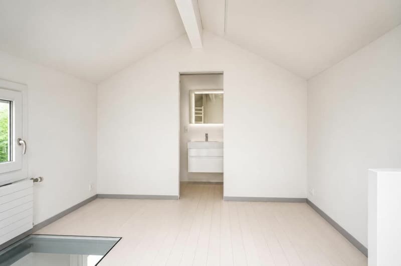 Winziges Haus in Plan-les-Ouates (10)
