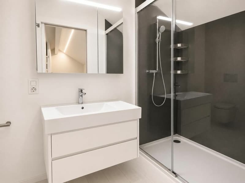 Winziges Haus in Plan-les-Ouates (11)