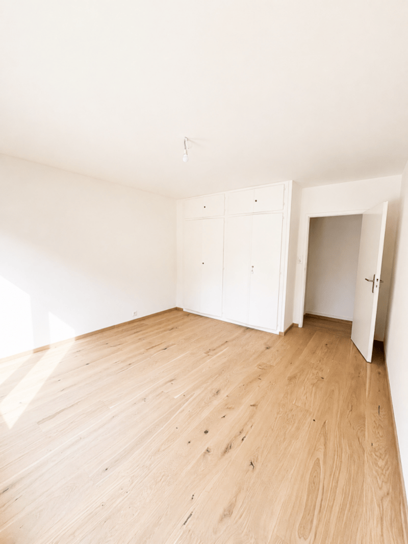 Schönes individuelles Einfamilienhaus von 220 m² in Thônex (25)