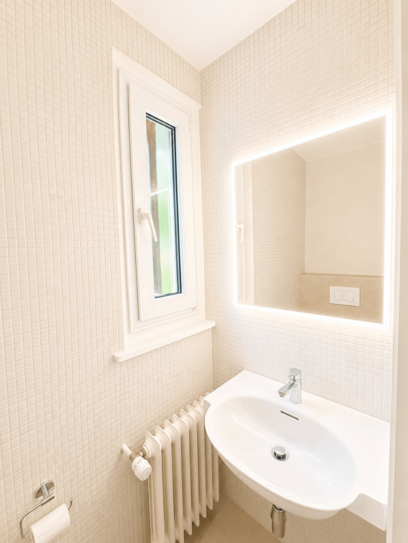 Schönes individuelles Einfamilienhaus von 220 m² in Thônex (29)