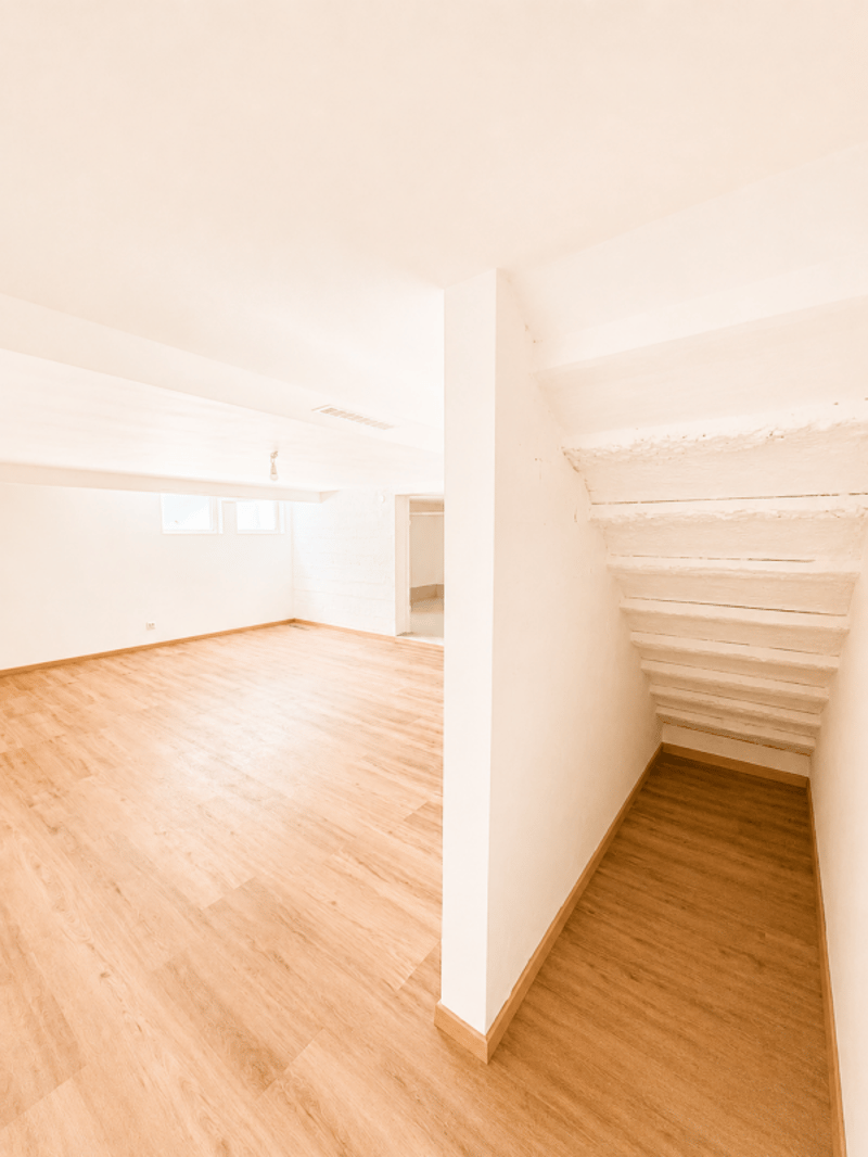 Schönes individuelles Einfamilienhaus von 220 m² in Thônex (35)