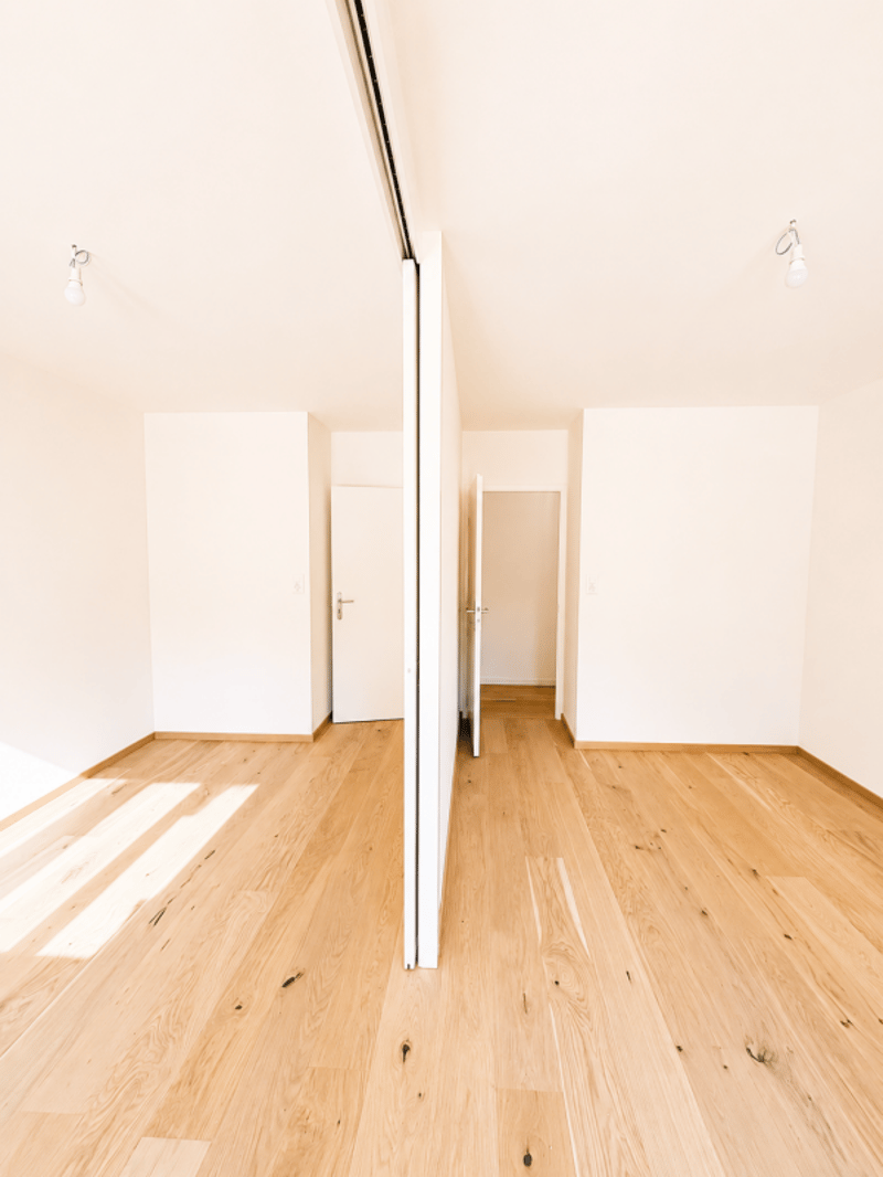 Schönes individuelles Einfamilienhaus von 220 m² in Thônex (28)