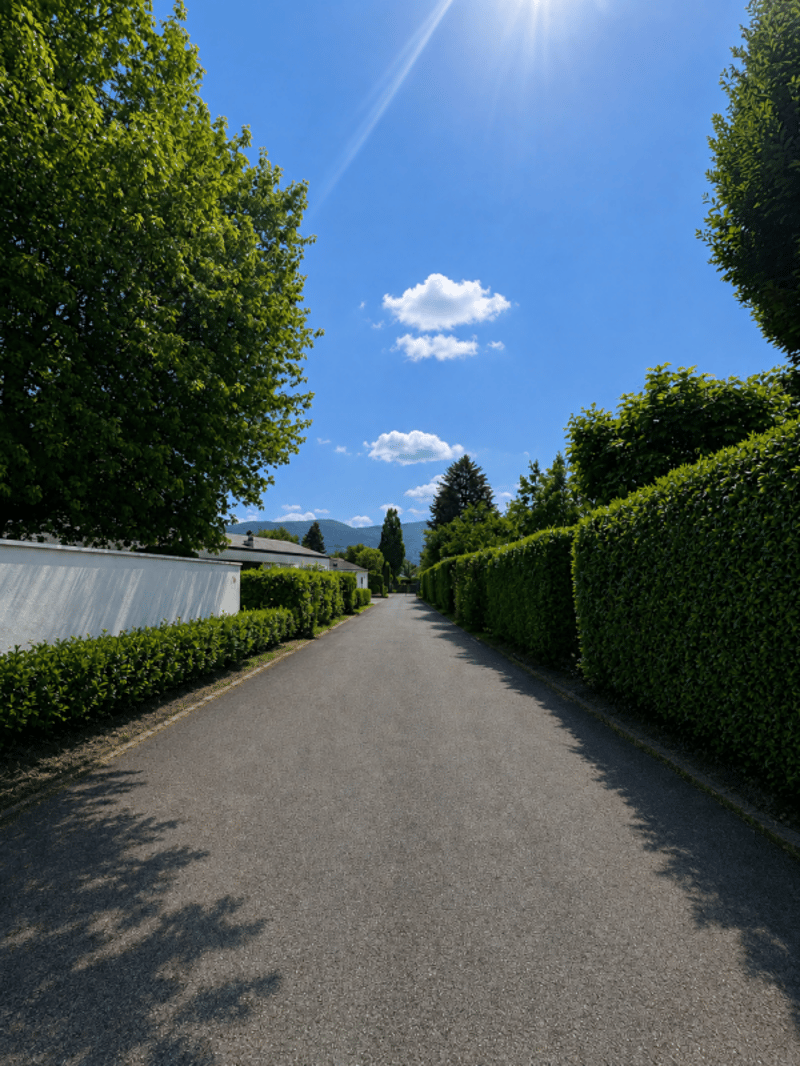 Schönes individuelles Einfamilienhaus von 220 m² in Thônex (9)