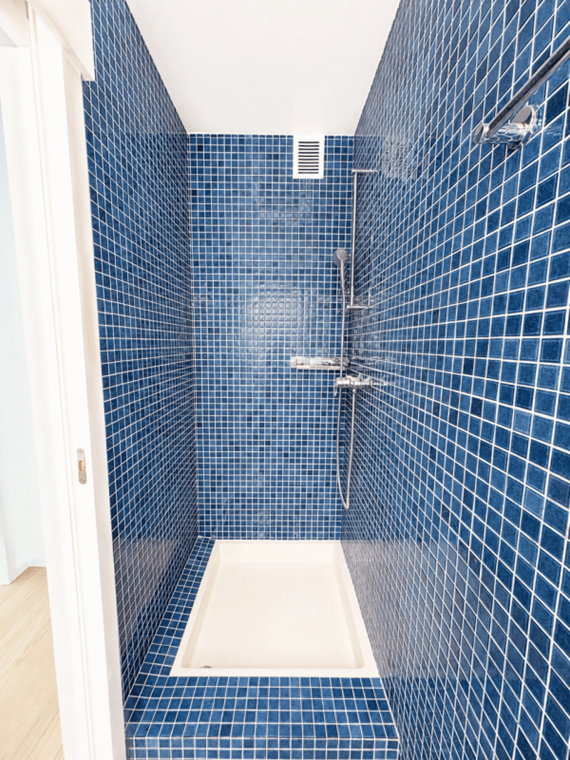 Schönes individuelles Einfamilienhaus von 220 m² in Thônex (32)