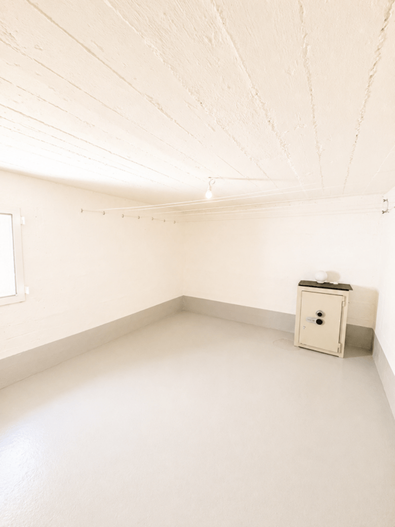 Schönes individuelles Einfamilienhaus von 220 m² in Thônex (36)