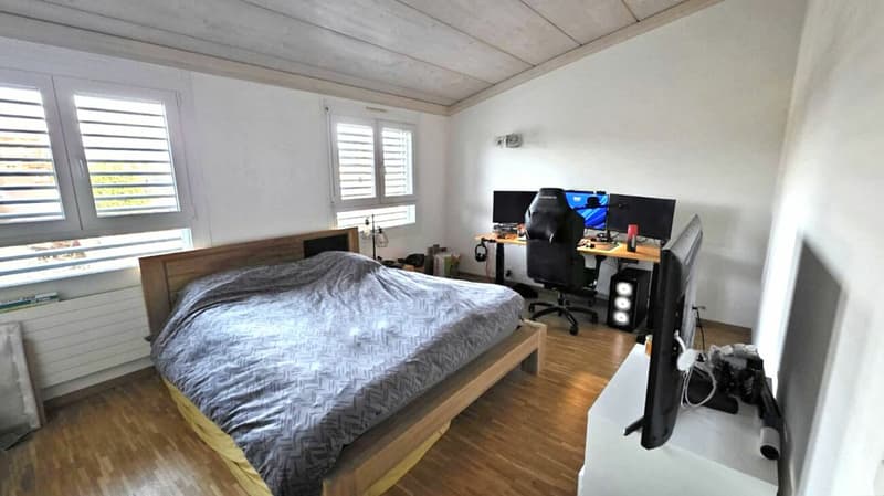 Appartement de 5 pièces - Plan-les-Ouates (3)