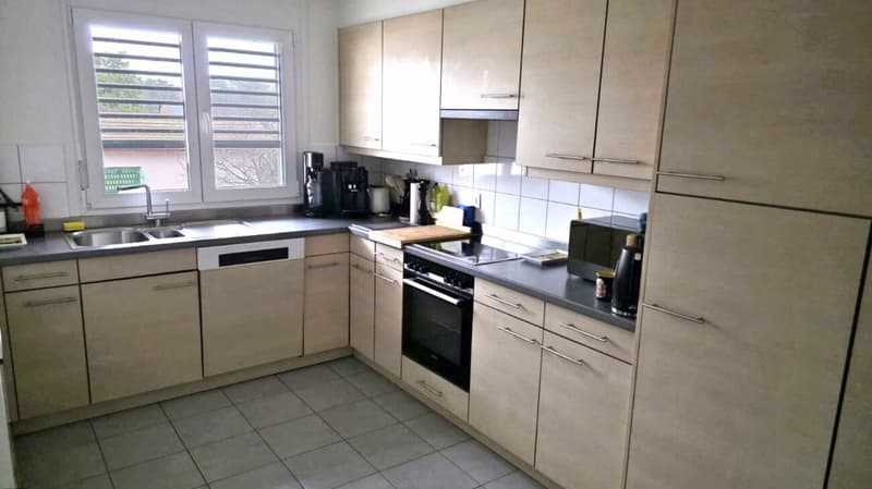 Appartement de 5 pièces - Plan-les-Ouates (2)