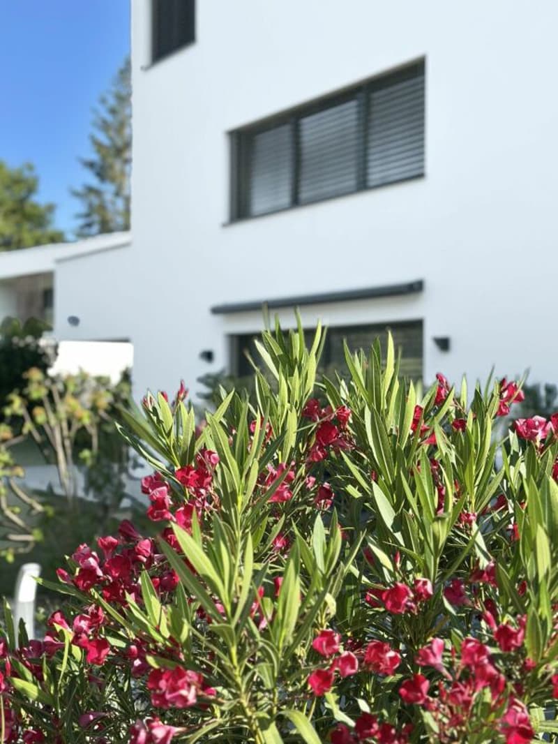 Wohnung mit 4 Zimmern in Chêne-Bougeries (29)
