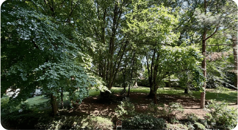 Bel studio arredato nella residenza Cologny Parc (15)