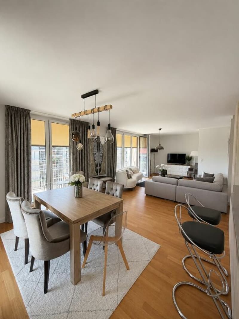 Bel appartement meublé - 100m2 (3)