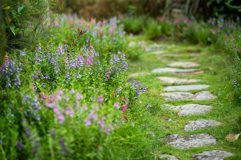 Maison rénovée donnant directement sur un vaste jardin (1)