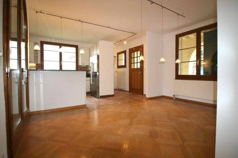 Appartement 5 pièces à Plan-les-Ouates (21)