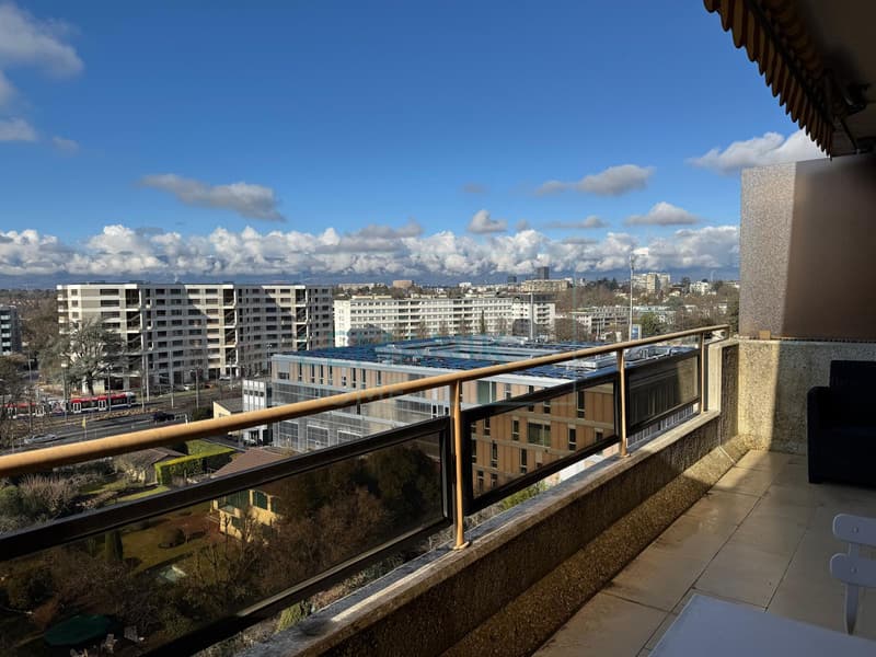 Rare sur le secteur : Spacieux appartement lumineux avec terrasse à quelques minutes du centre-ville (2)