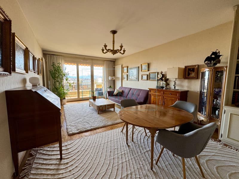 Rare sur le secteur : Spacieux appartement lumineux avec terrasse à quelques minutes du centre-ville (3)