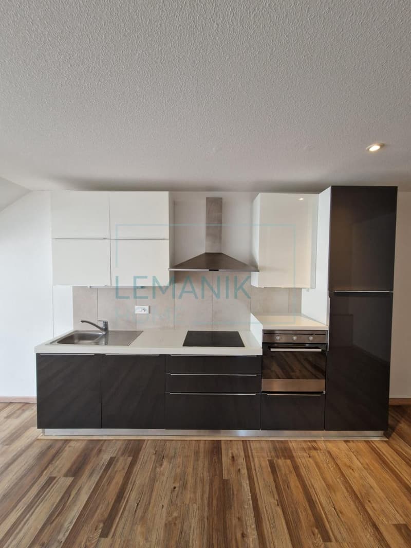 Magnifique appartement 4,5 pièces entièrement rénové (3)