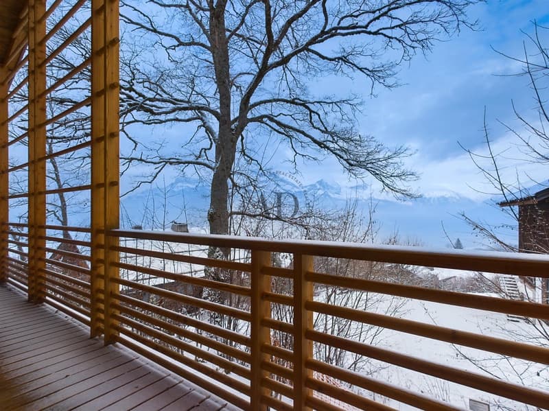 Magnifique chalet (5)