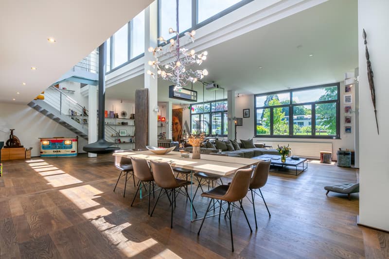 Rare for sale: Loft close to Carouge (2)