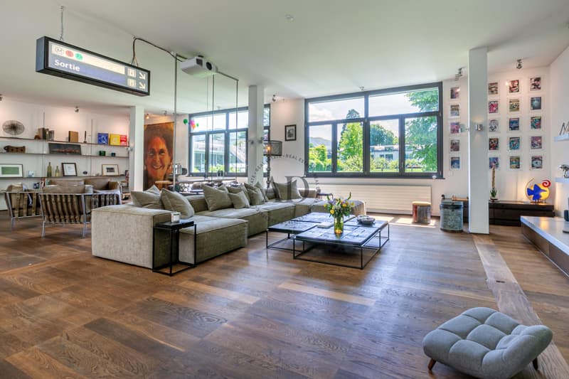 Rare for sale: Loft close to Carouge (3)