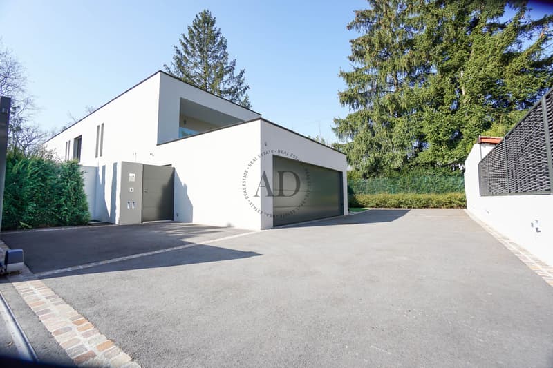 Moderne Villa in einem grünen Umfeld in Conches - Genf (1)
