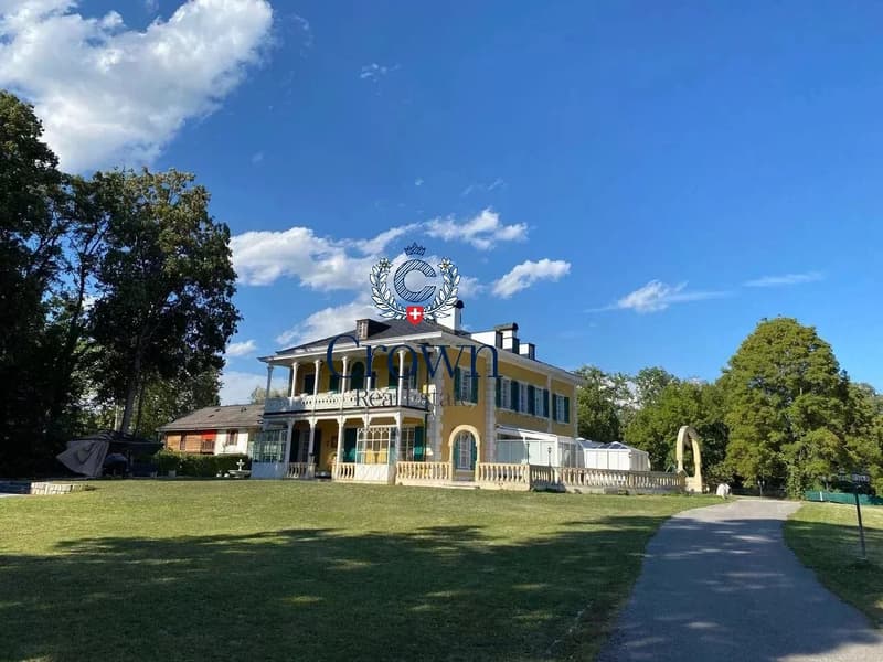Somptueuse propriété à la périphérie de Genève (5)