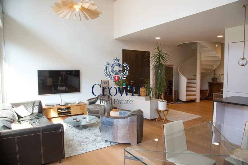 The space of a duplex, downtown Geneva 10 minutes away, everything within reach (8)