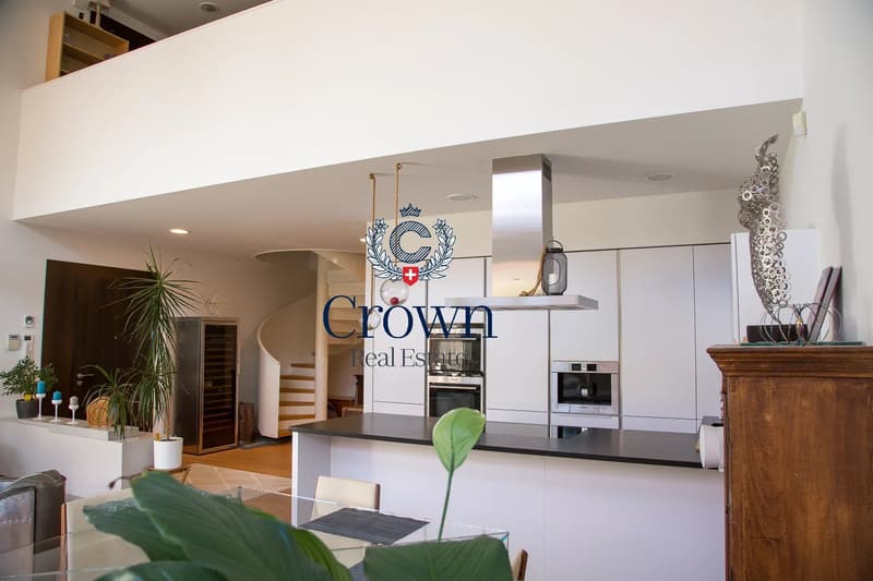 The space of a duplex, downtown Geneva 10 minutes away, everything within reach (13)