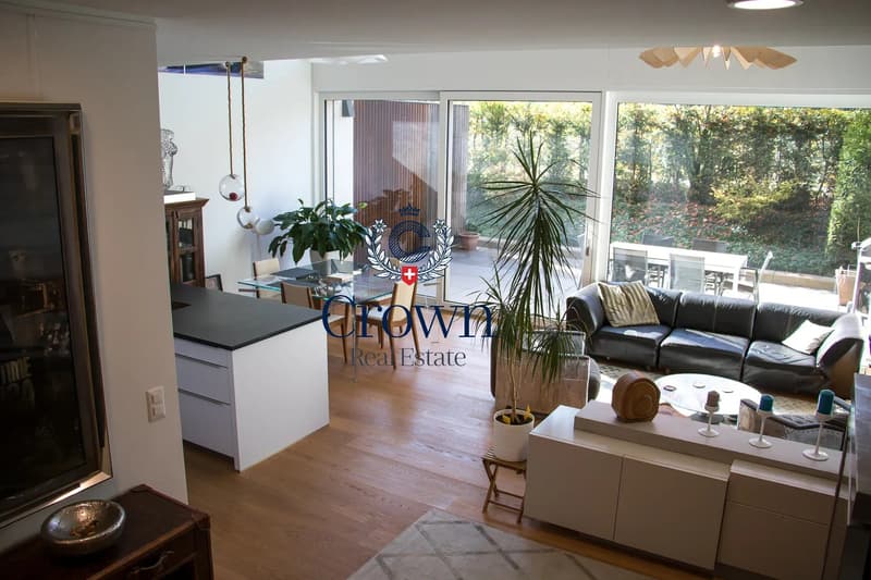 The space of a duplex, downtown Geneva 10 minutes away, everything within reach (3)