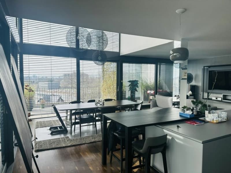 Triplex en attique style "LOFT" (5)