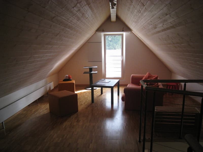 4 1/2 Mais.-Dachwohnung mit Balkon (7)