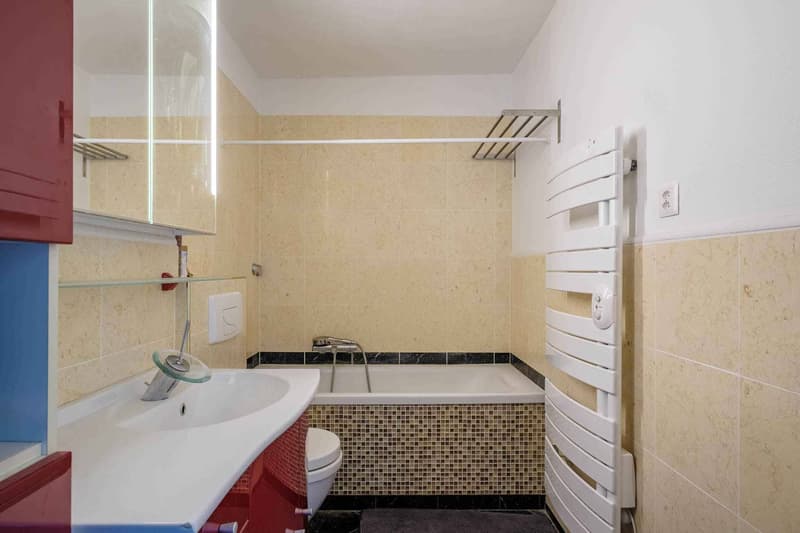 Bel appartement de 2 pièces avec vue aux Eaux-Vives (6)