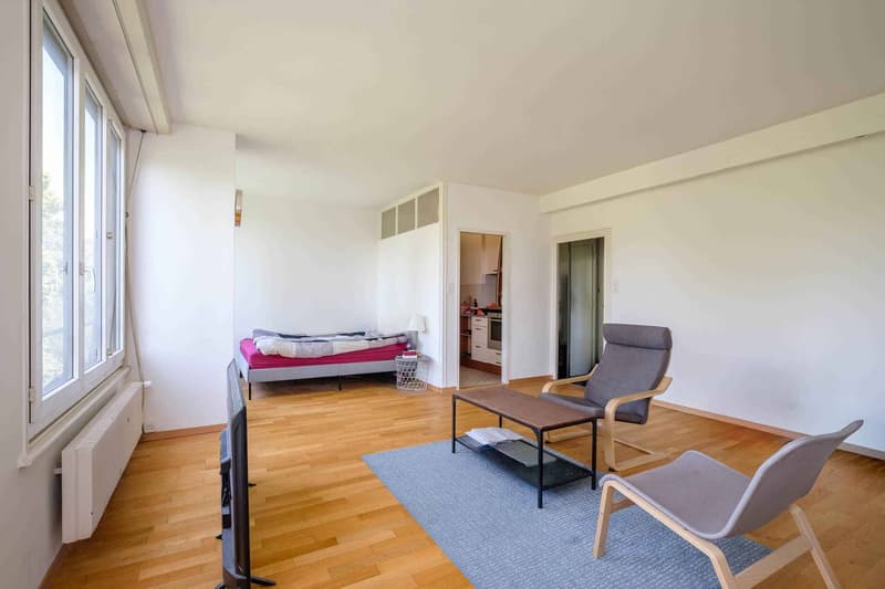 Bel appartement de 2 pièces avec vue aux Eaux-Vives (4)