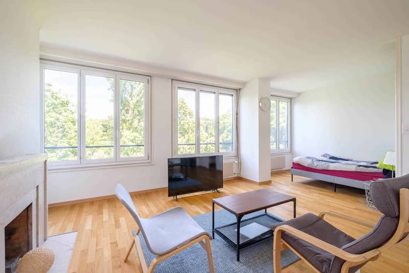 Bel appartement de 2 pièces avec vue aux Eaux-Vives (2)