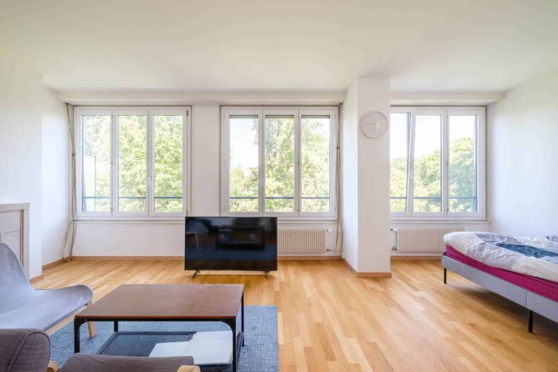 Bel appartement de 2 pièces avec vue aux Eaux-Vives (3)