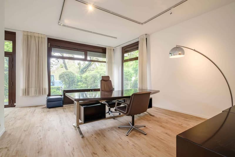 Arcade/Büro im Herzen von Champel - exklusiv (4)