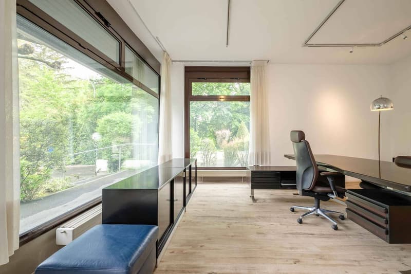 Arcade/Büro im Herzen von Champel - exklusiv (2)