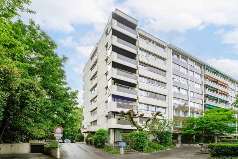 Arcade/Büro im Herzen von Champel - exklusiv (6)