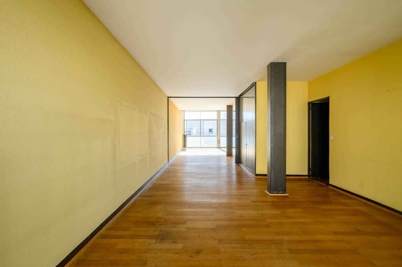 Lumineux et spacieux duplex au calme de la ville (5)