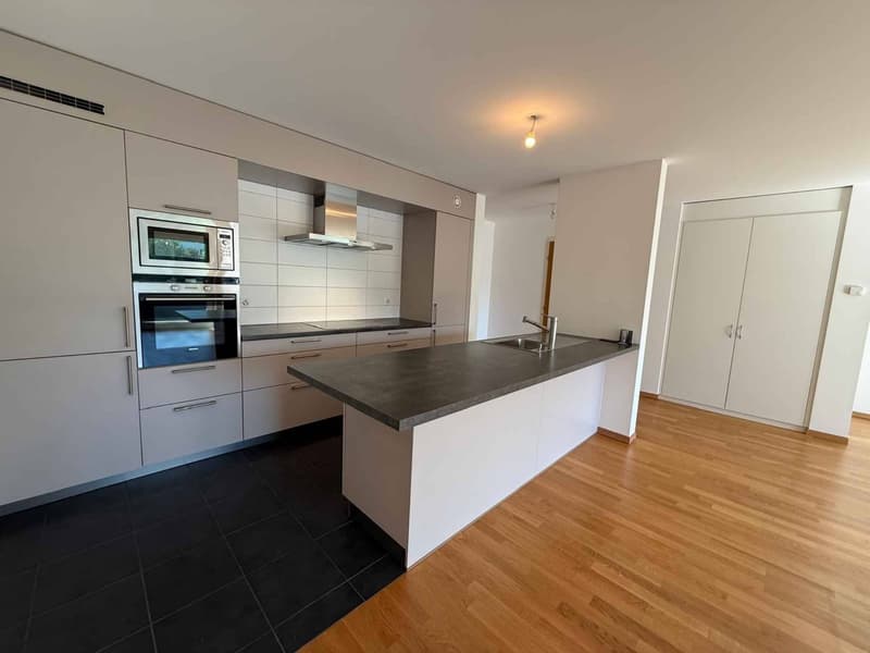 Nouveau ! Bel appartement traversant en exclusivité (4)