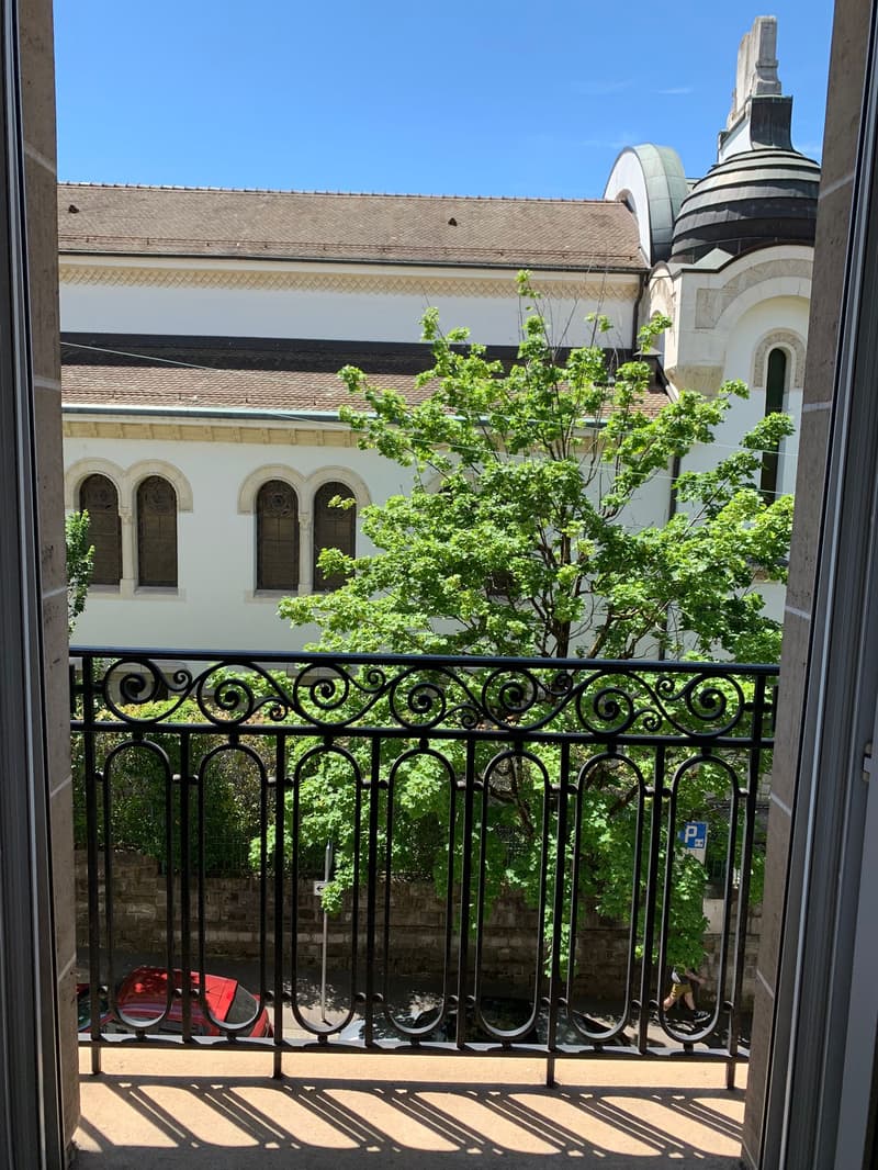 Zu vermieten für eine bestimmte Dauer von zwei Jahren. Sehr schönes Apartment mit viel Charme, ideal gelegen (9)