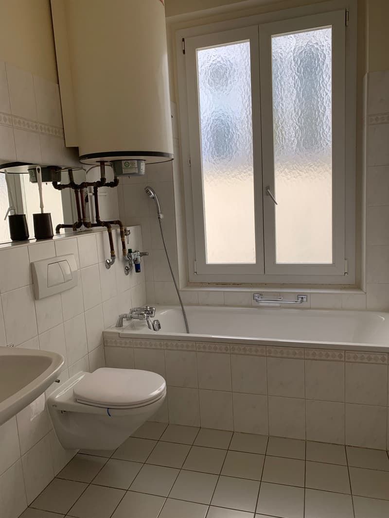 Zu vermieten für eine bestimmte Dauer von zwei Jahren. Sehr schönes Apartment mit viel Charme, ideal gelegen (3)